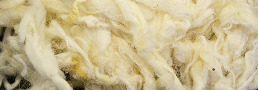 Yün Karbonize İşlemi ve Amacı